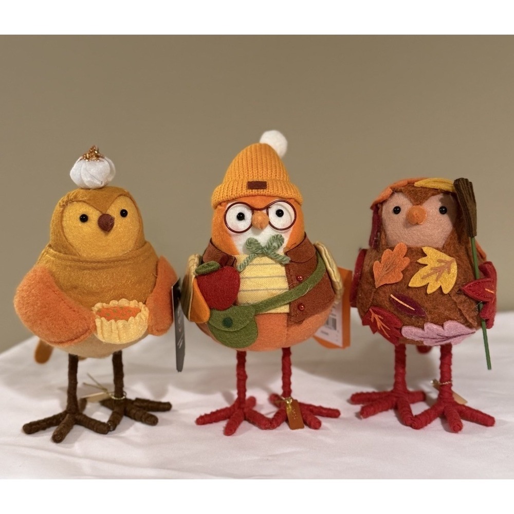 Target Hyde And Eek Featherly Friends Birds CIDER WHIP RAKER Set Of 3 2026  New